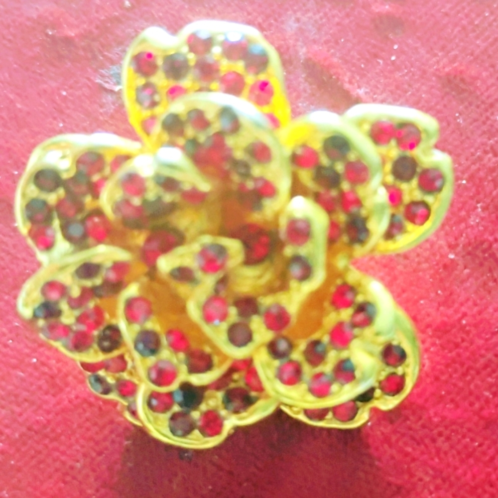 Jose and maria barrerera earrings